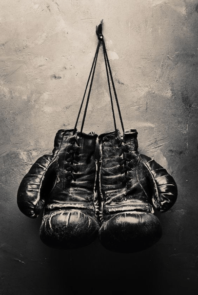 Boxing Gloves.PNG
