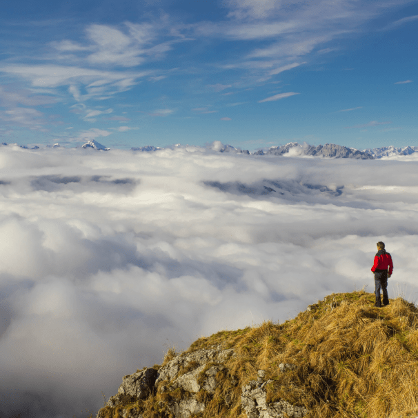 Untitled design (1).png