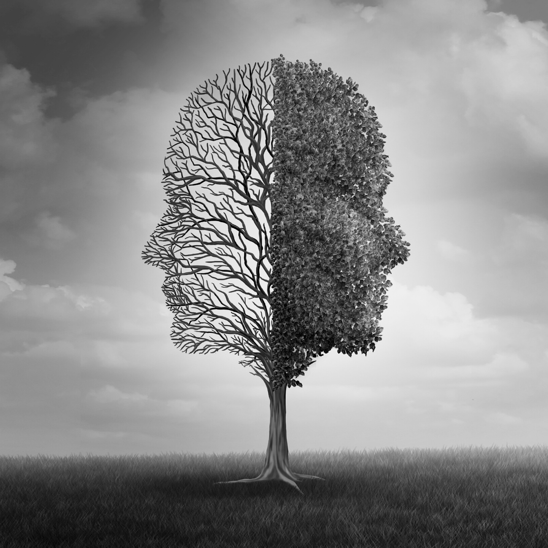 Misassociated Disassociation – A Mom's Journey – My Dyslexic Life